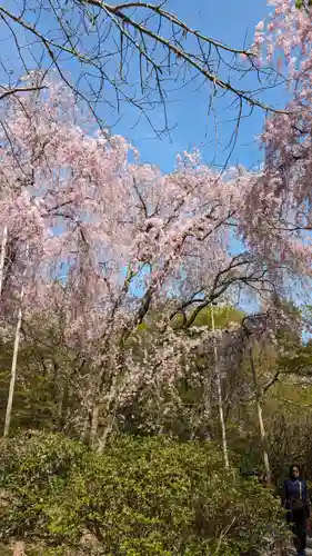 龍安寺(京都府)