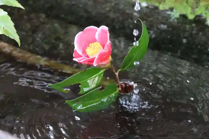 神藏寺(京都府)