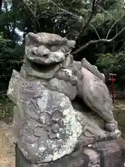 須賀神社の狛犬