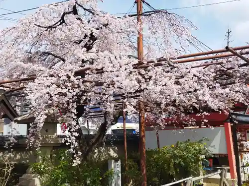 豊中不動寺（豊中不動尊）(大阪府)