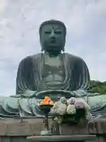 高徳院(神奈川県)