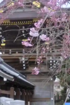 西新井大師総持寺(東京都)