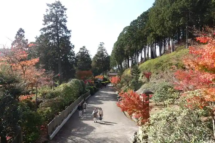 三室戸寺(京都府)
