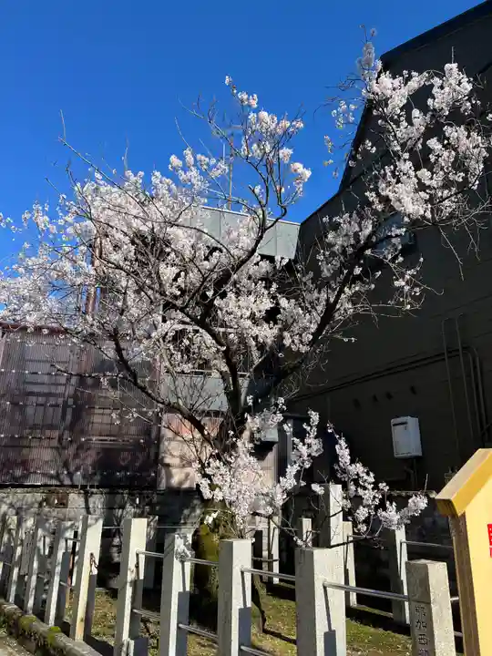 手力雄神社(岐阜県)