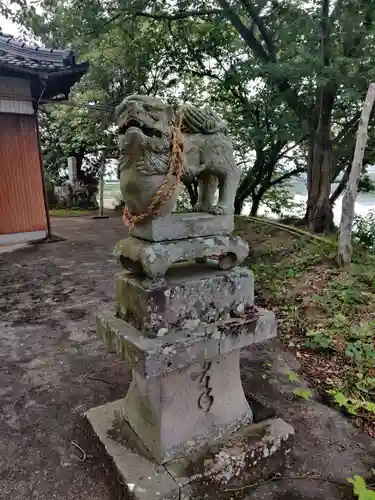 飛渡神社の狛犬