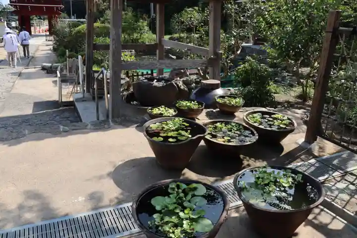 大日寺のその他建物