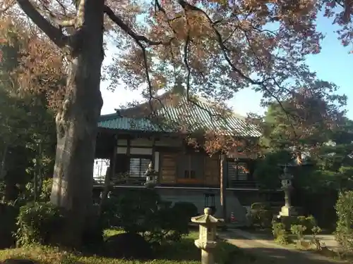 明静院の本殿・本堂