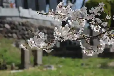 国宝 大法寺(長野県)