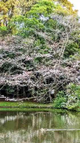 菊田神社の自然