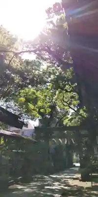 天神ノ森天満宮の鳥居