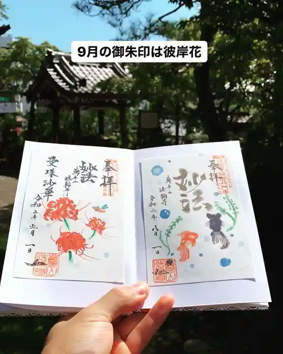 萬年山 法輪寺 | 【9月の御朱印】 □彼岸花の切り絵御朱印