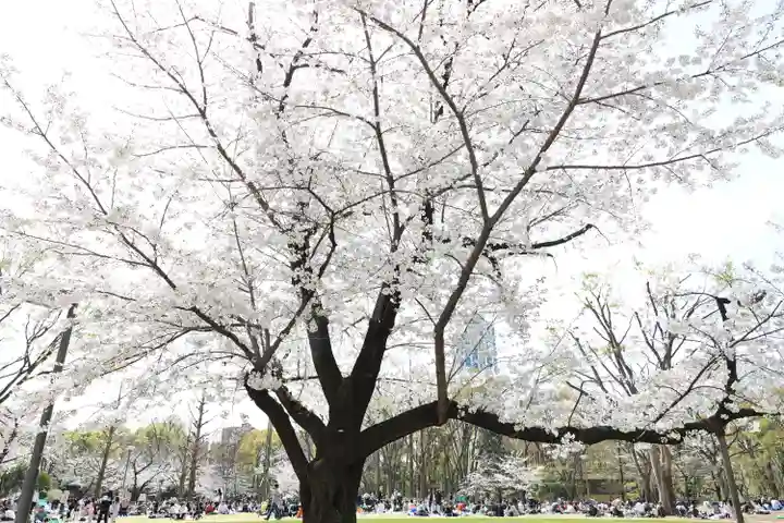 熊野神社(東京都)