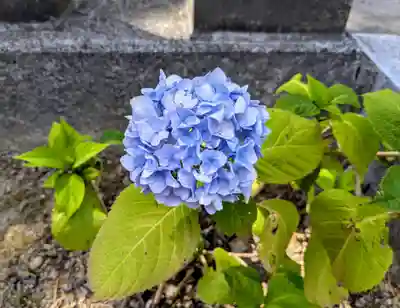 赤平神社(北海道)
