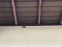 石内のお大師さん 金剛院(広島県)