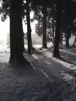 飯笠山神社(長野県)
