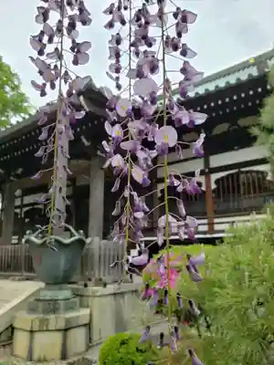 愛染院(東京都)