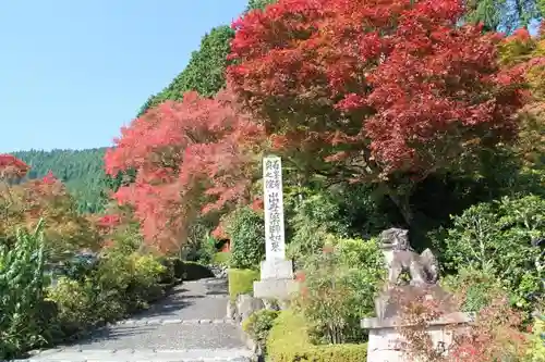 善峯寺の自然