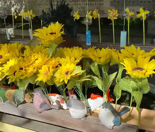 國分八幡宮(香川県)