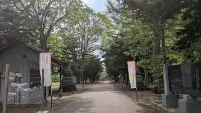 東神楽神社の景色