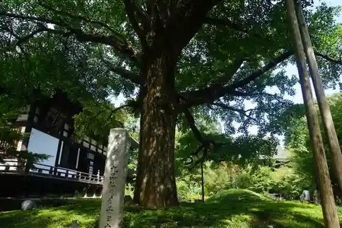 淨眞寺の自然