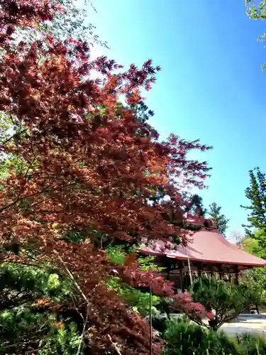 隠津島神社(福島県)