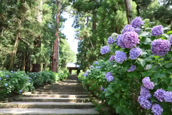 大中寺(栃木県)