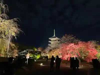 東寺（教王護国寺）(京都府)