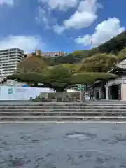 照國神社(鹿児島県)