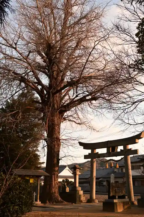 多祁御奈刀弥神社(徳島県)