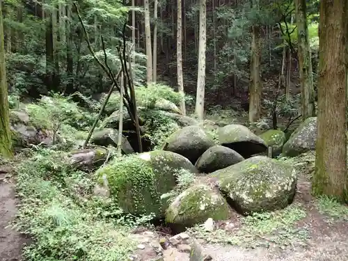 名草厳島神社の自然