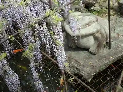 長泉寺の狛犬