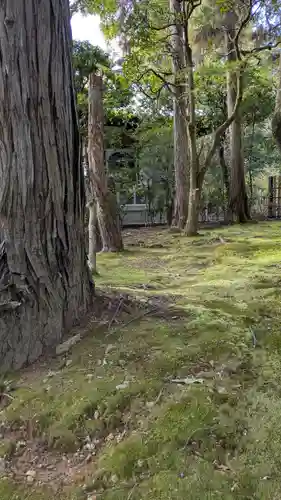 霊光院(京都府)
