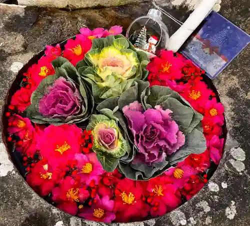 真言宗　善通寺派　薬王寺(香川県)