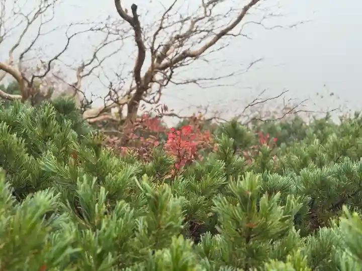 信州駒ヶ岳神社(長野県)