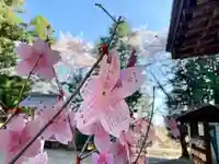 滑川神社 - 仕事と子どもの守り神のおみくじ