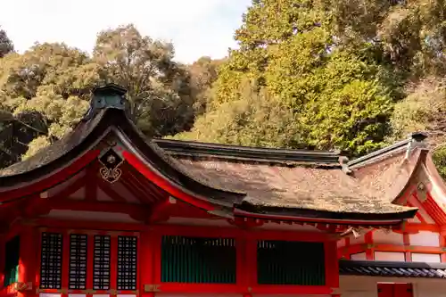 宇佐神宮(大分県)