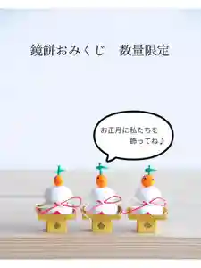 浄土寺のおみくじ(2022年12月04日(日) 09時22分20秒投稿)