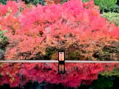 安國寺(兵庫県)