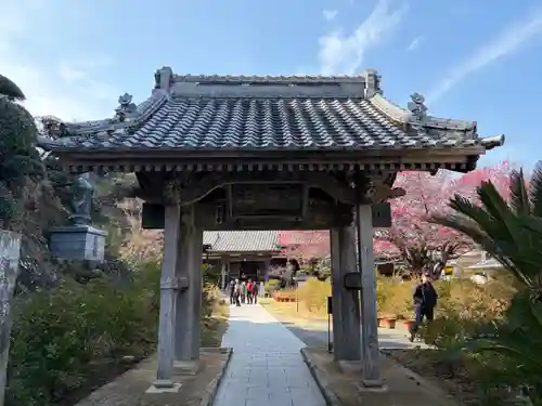 了仙寺(静岡県)