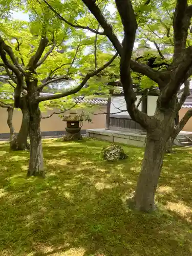 黄梅院(京都府)