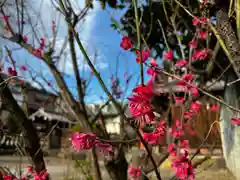 總神社(京都府)