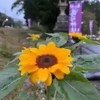 高司神社〜むすびの神の鎮まる社〜(福島県)