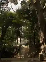 前廣神社の鳥居