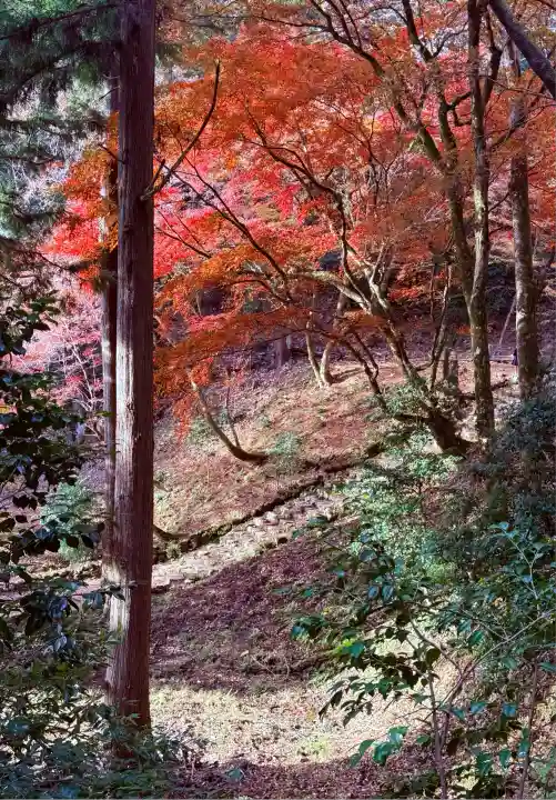 鶏足寺(滋賀県)