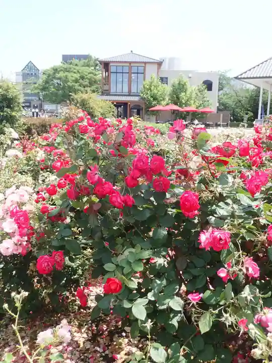 萬徳寺(神奈川県)