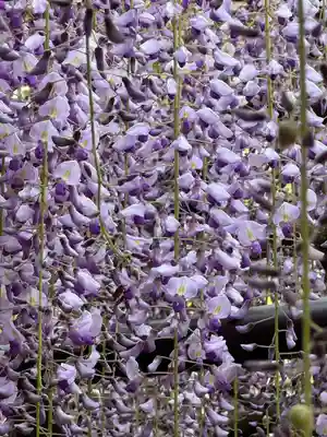 天台宗 五大山 白毫寺(兵庫県)