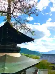 楽法寺（雨引観音）(茨城県)