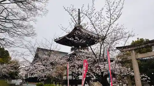 本法寺(京都府)