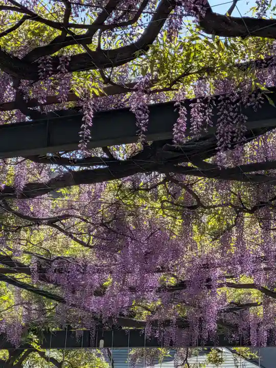 國領神社(東京都)
