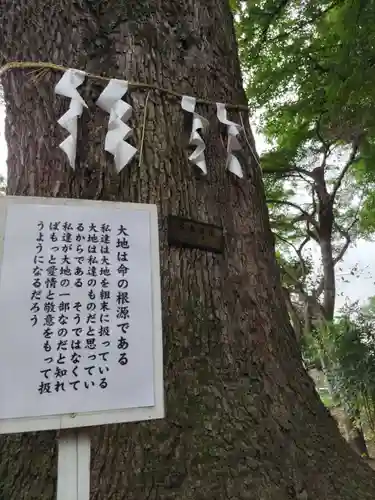 観音寺（世田谷山観音寺）の庭園